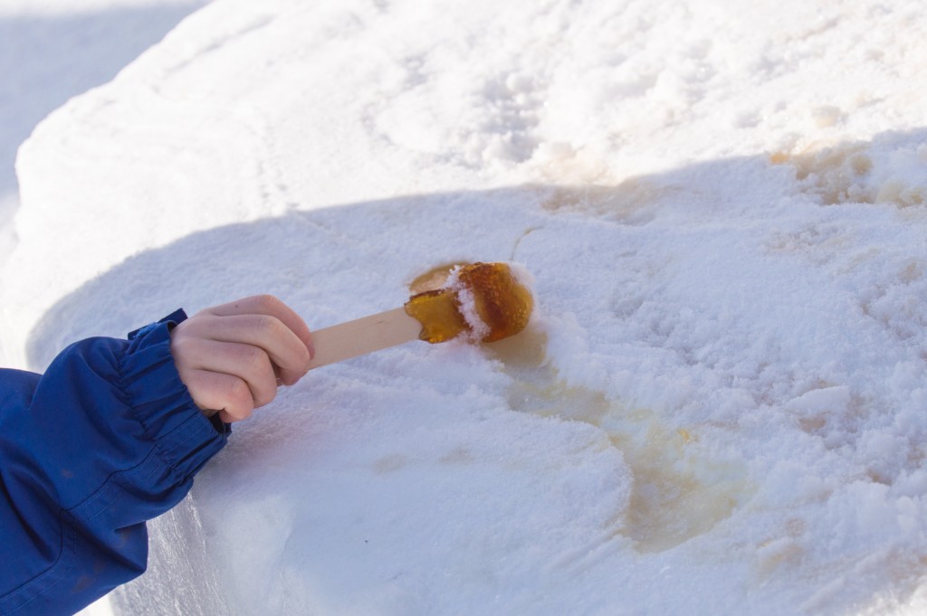 Maple candy on snow