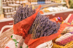Lavender at Jean Talon Market