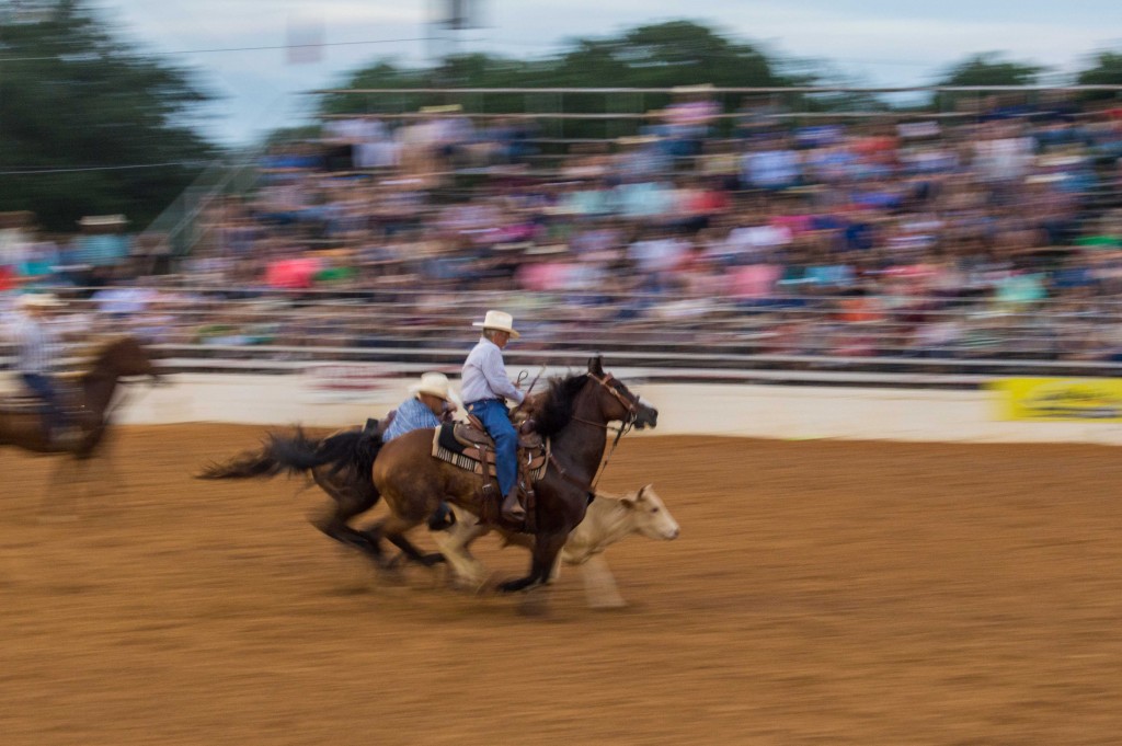 bull wrestling at rodeo