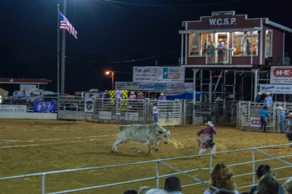 bullfighter at work