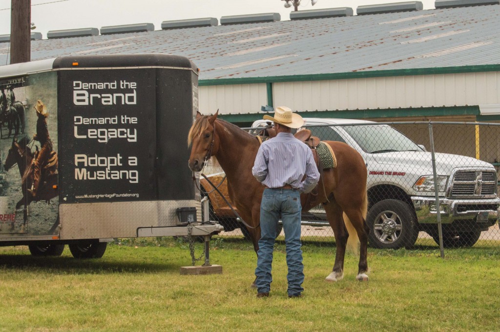 cowboy with a horse