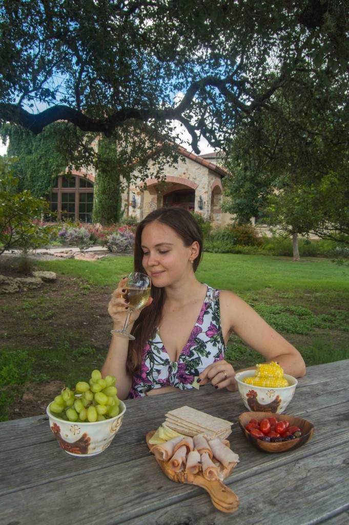 picnic near austin