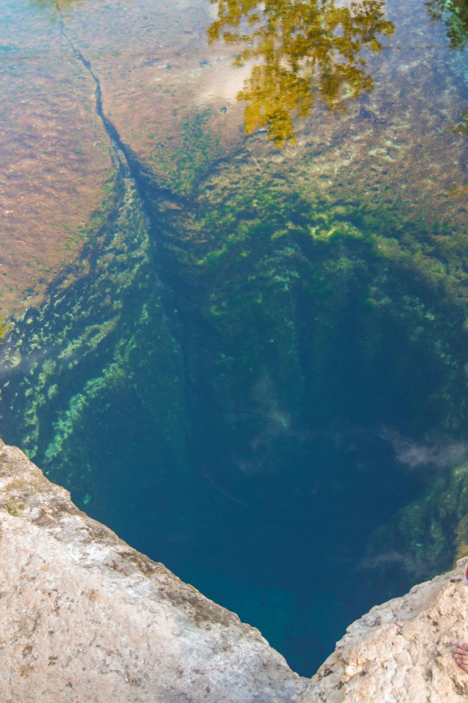 Day Trip from Austin: Jacob’s Well and The Salt Lick BBQ | That’s What ...