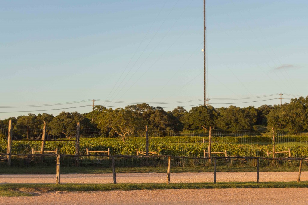 salt-lick-vineyards