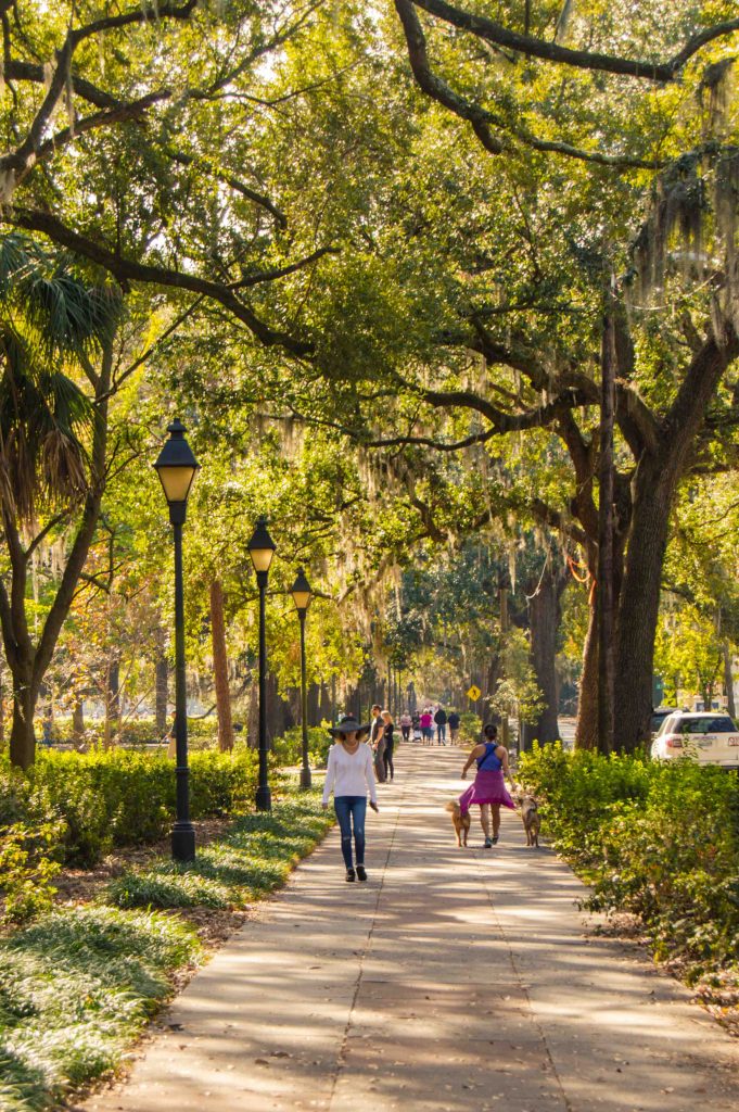 reasons-to-visit-savannah