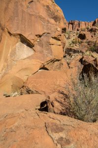 Indian petroglyphs in Terlingua