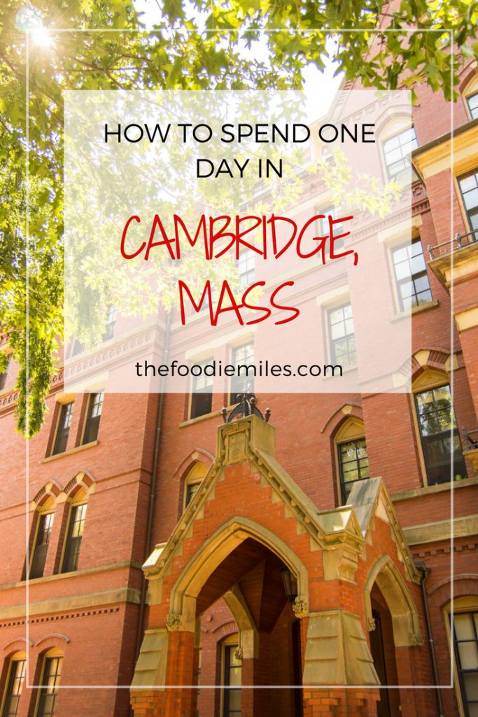 Cambridge Mass one day guide