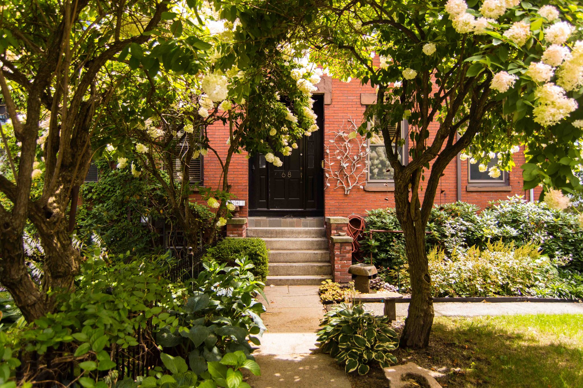 best-things-to-do-in-cambridge-ma-in-one-day-that-s-what-she-had