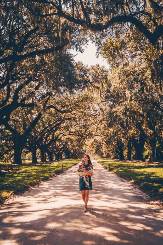 boone hill plantation charleston