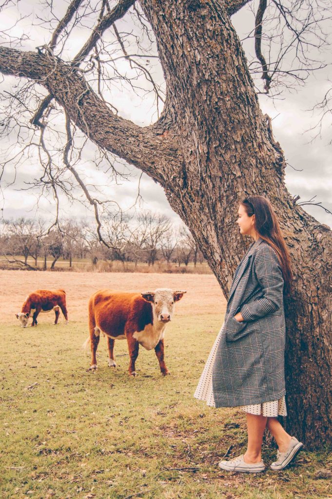 Lindon-Johnson-ranch-stonewall-tx