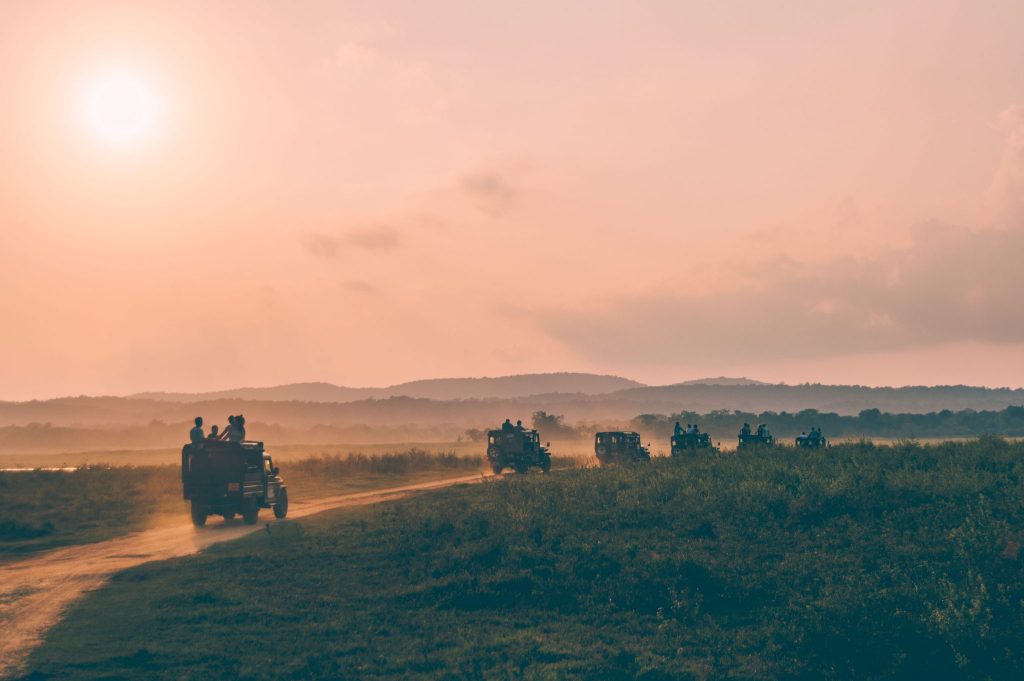 kaudulla safari