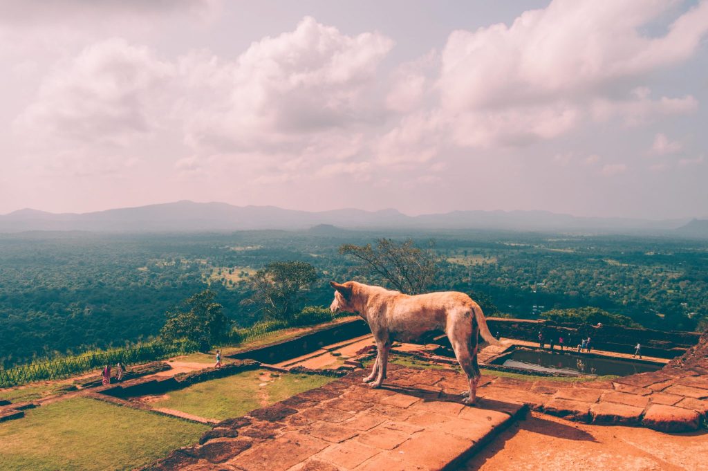 sigiriya climb