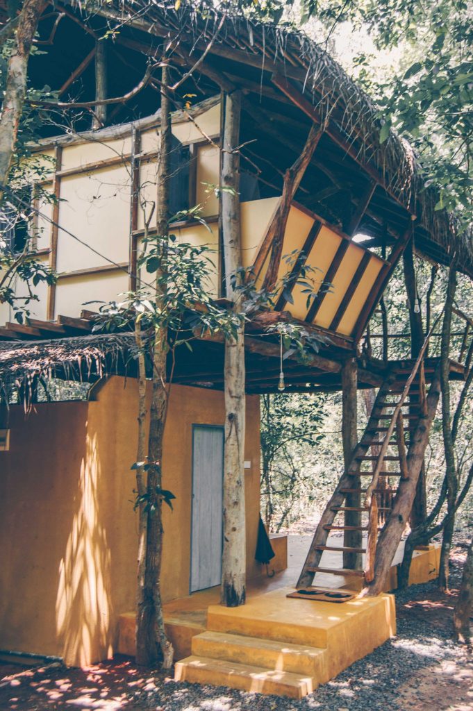 tree house sigiriya