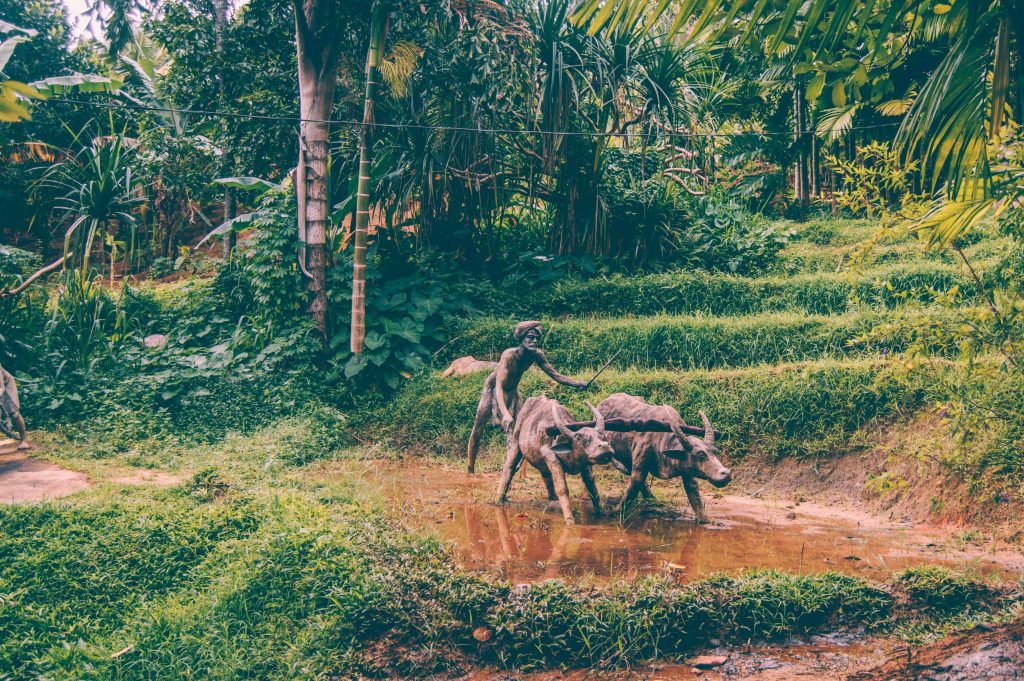 saradiel village kandy