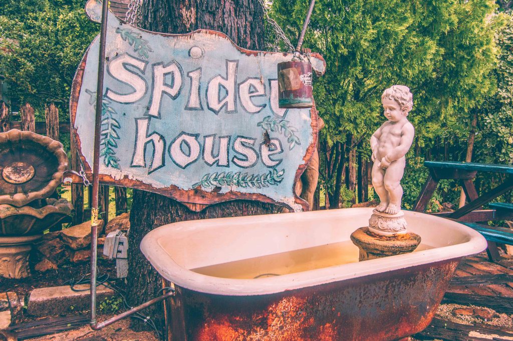 Spider house Cafe-austin-tx