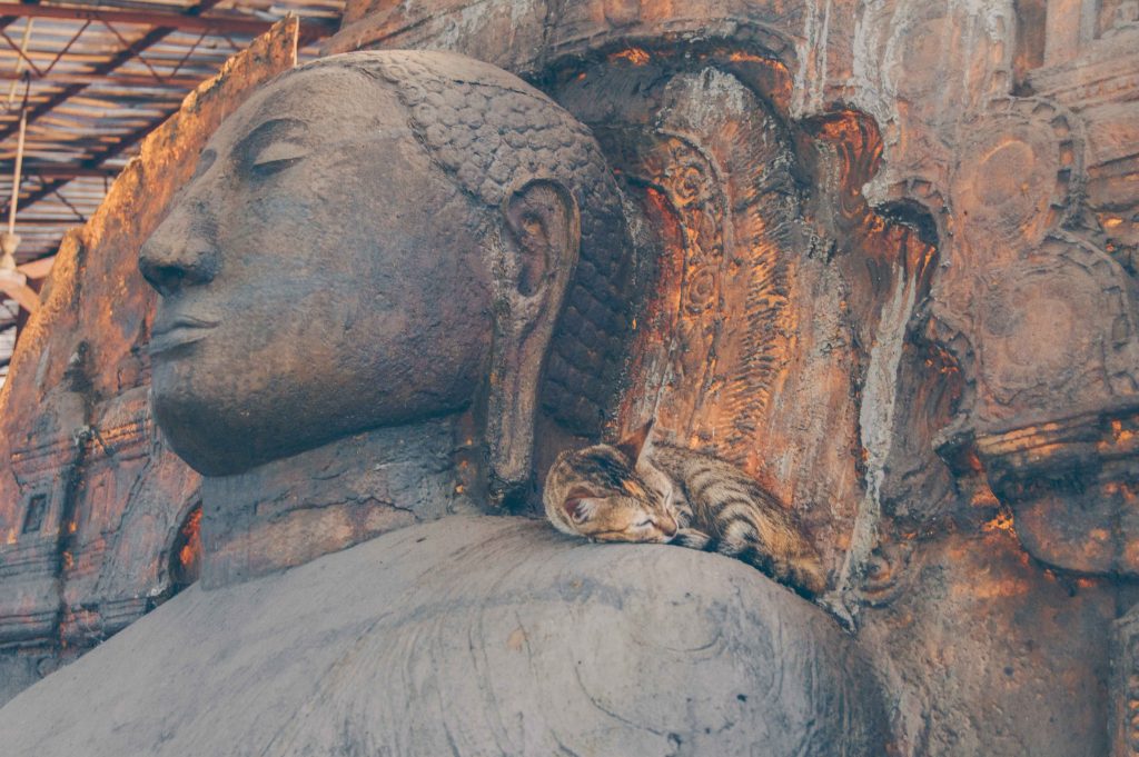 ganagaramaya-temple-colombo