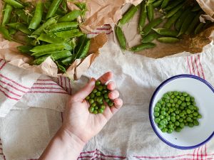 podding peas