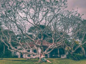 geoffrey-bawa-hotels-sri-lanka