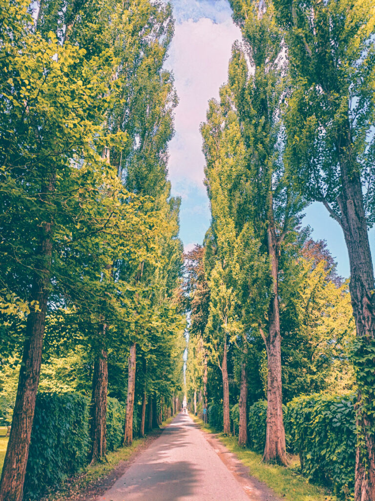 Assistens Cemetery