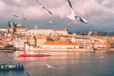Prague view from the Charles Bridge with seagulls