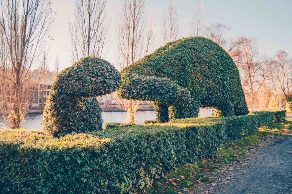 Ivy dinosaurs