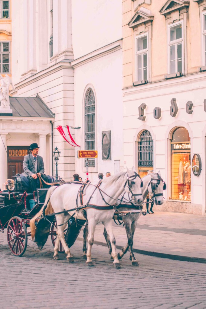 Hofburg horse drawn carriage