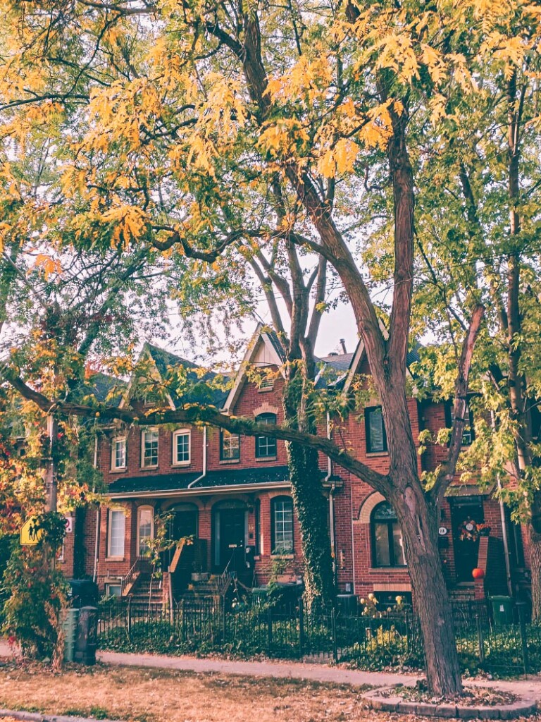 How to spend a weekend in Toronto