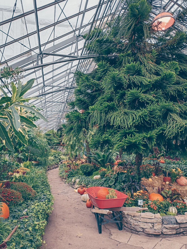 Allan Garden in Toronto is a cool free space for kids