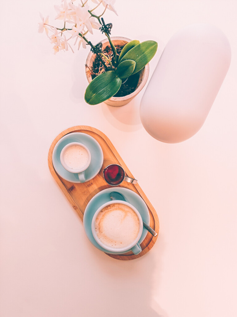 Modern display of coffee and babychino at Nio House Coffee