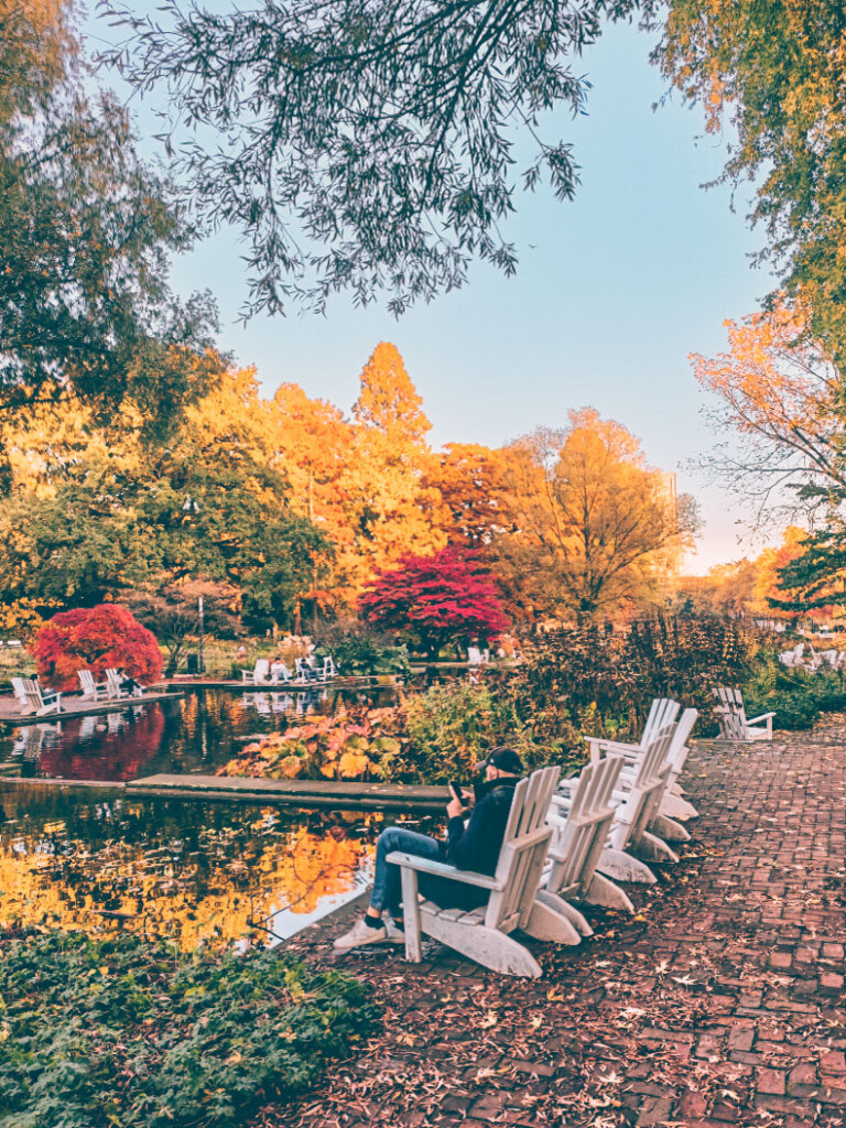Fall trees on display at Planten and Blomen