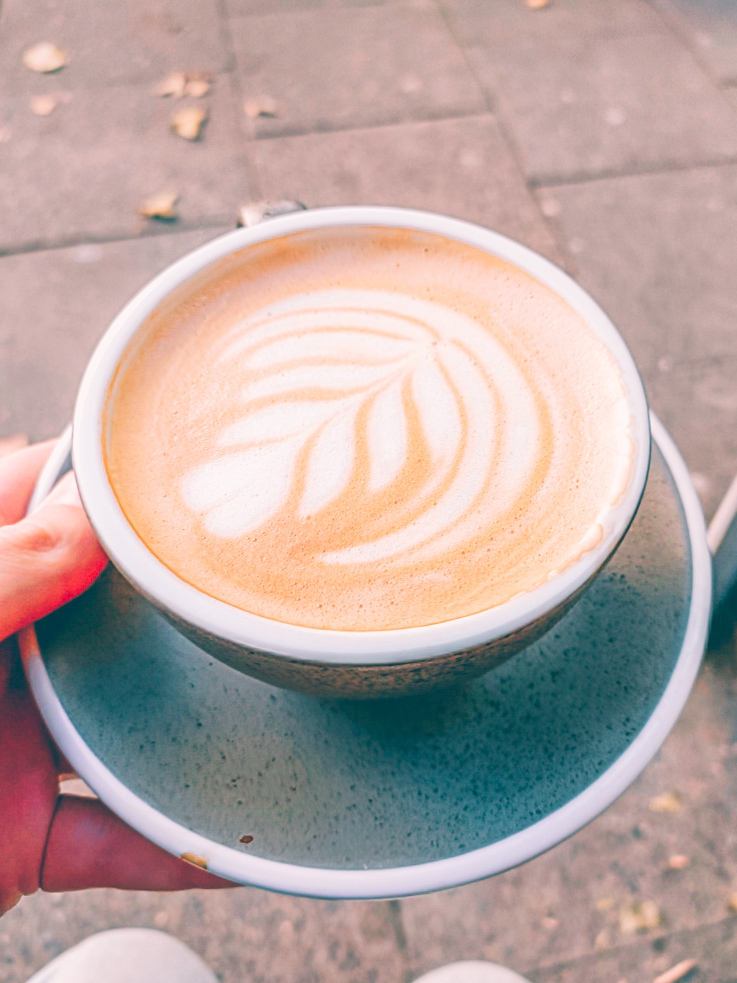 Rosetta latte art at Trader cafe is one of the most perfect of any coffee shops in Hamburg