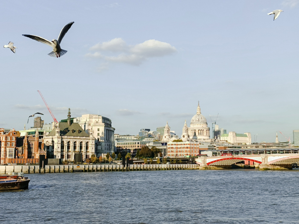 View of St. Paul&rsquo;s Cathedral from the South Bank in London, with the River Thames and birds in the scene.