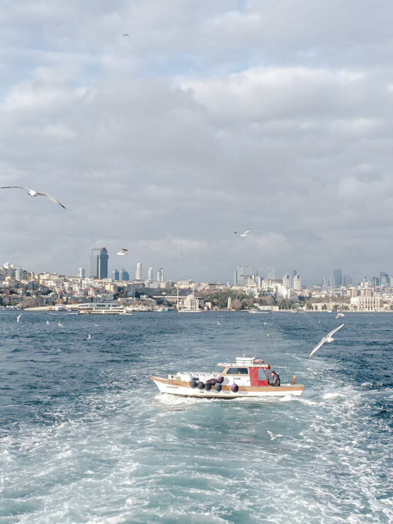 view from ferry crossing Bosphorus