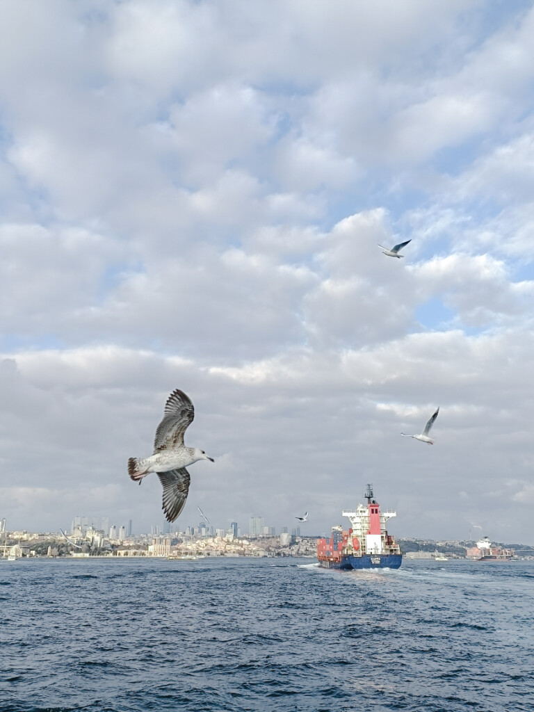 view from ferry on Bosphorus