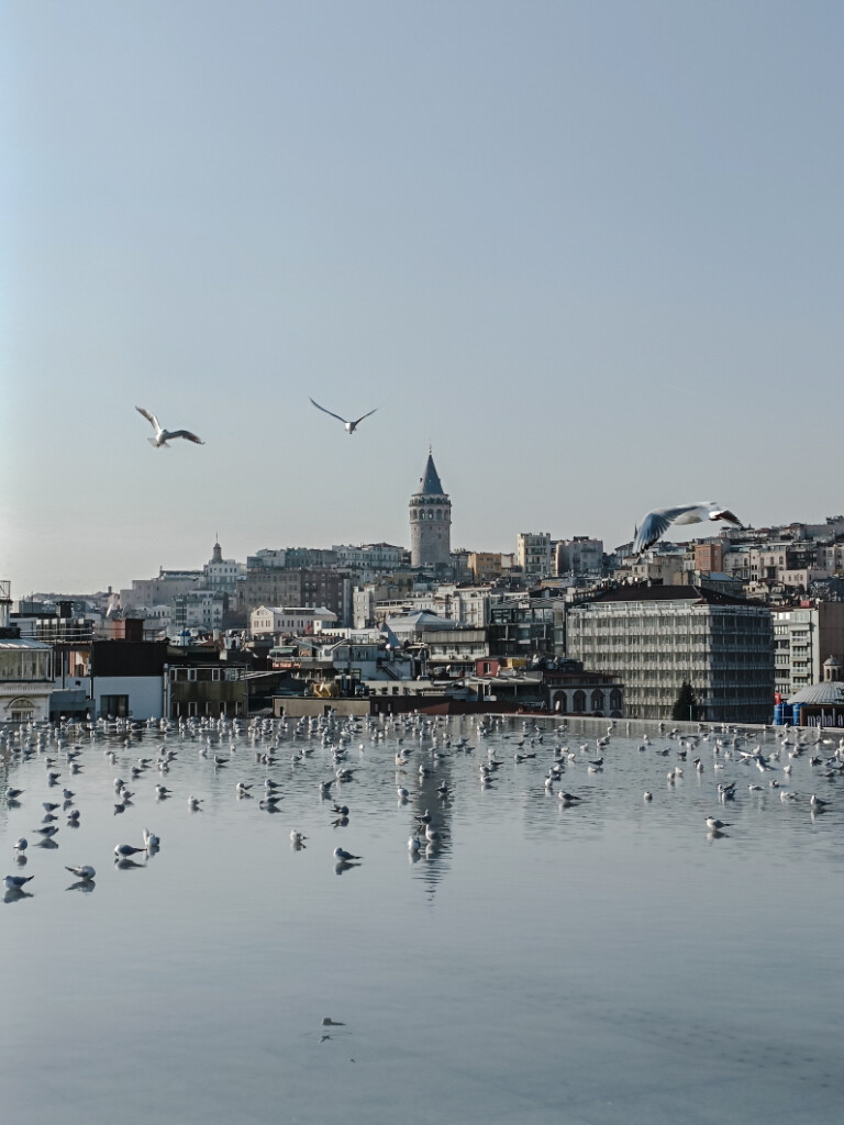 Checking out the view of Galata Tower from the rooftop of Istanbul Modern is one of the coolest things to do if you only have 24 hours in Istanbul.