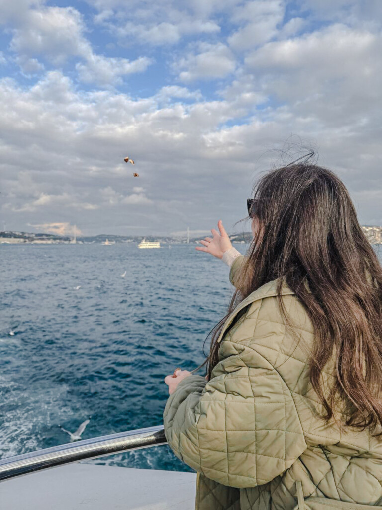 feeding seagulls on the ferry in Istanbul