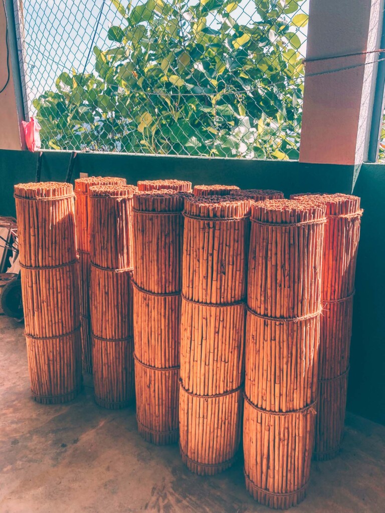 cinnamon plantation