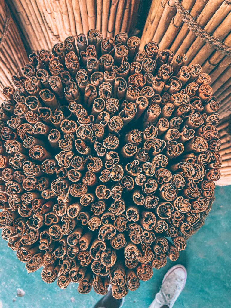 cinnamon up close