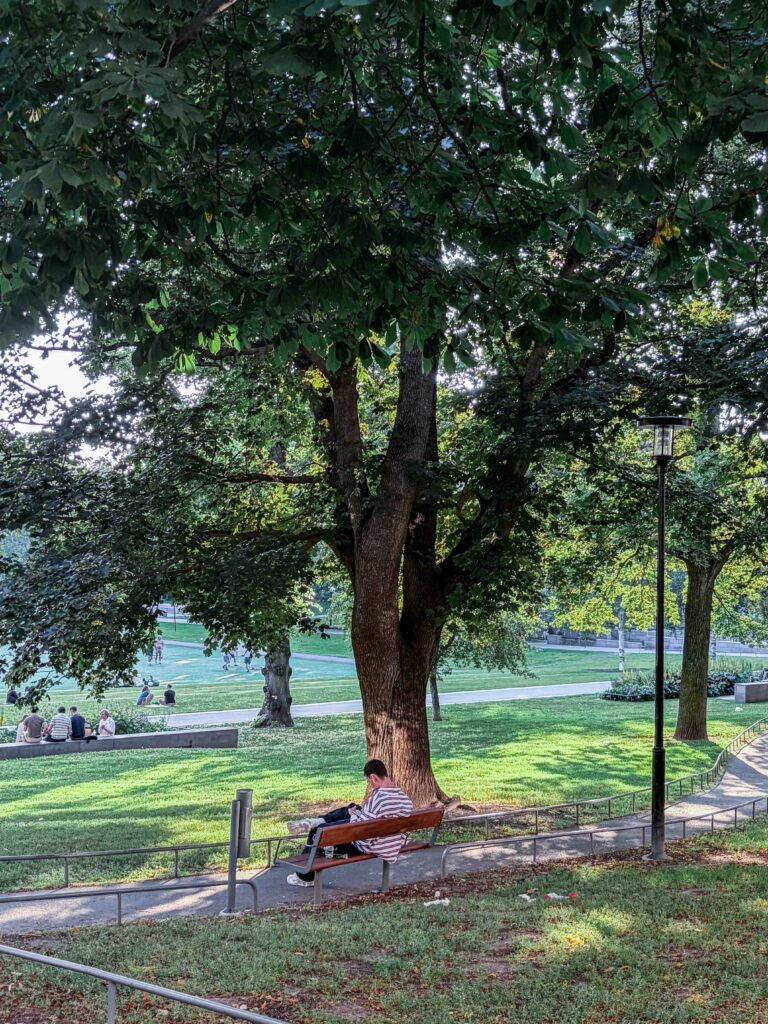 Vasaparken