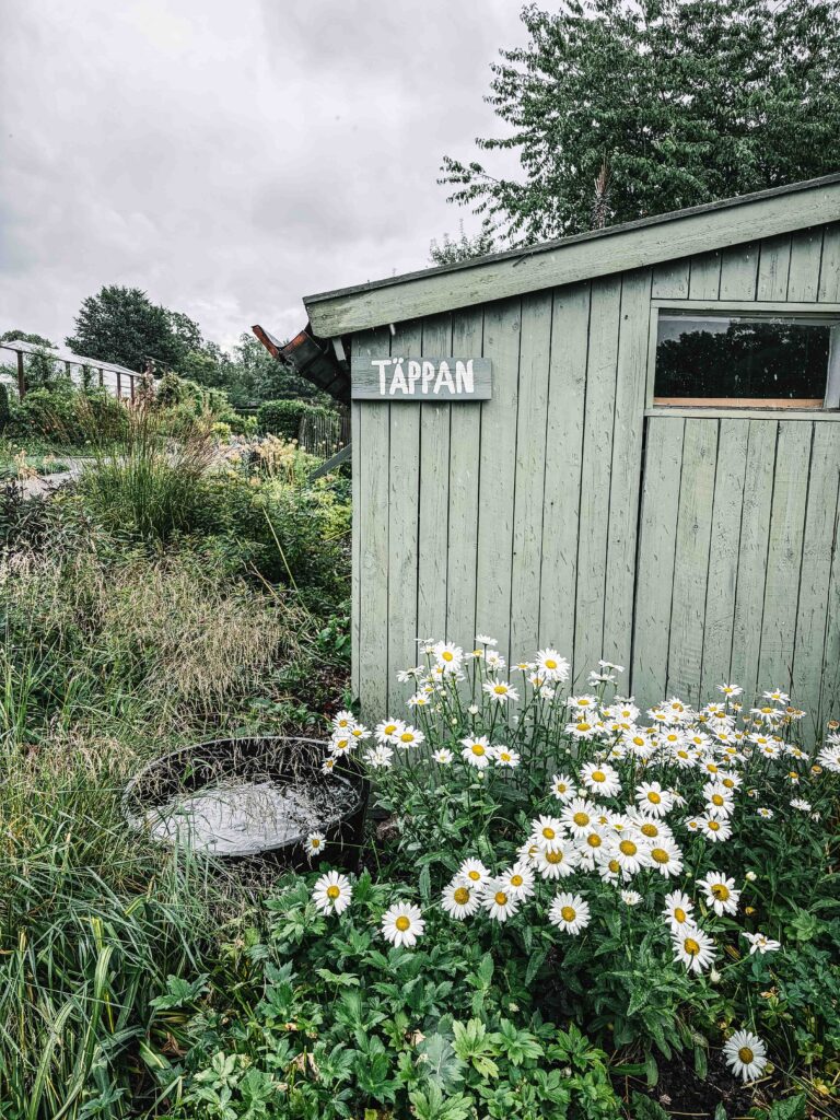 Rosendals Trädgård Stockholm