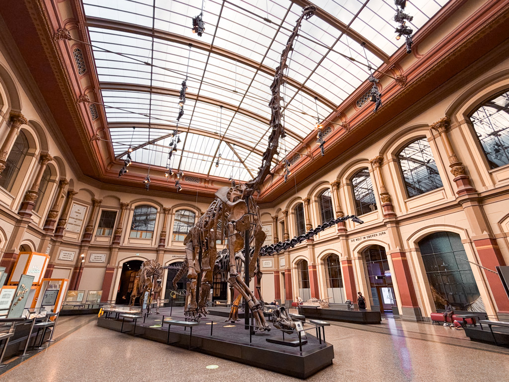 Huge display of a dinosaur at the Museum für Naturkunde Berlin
