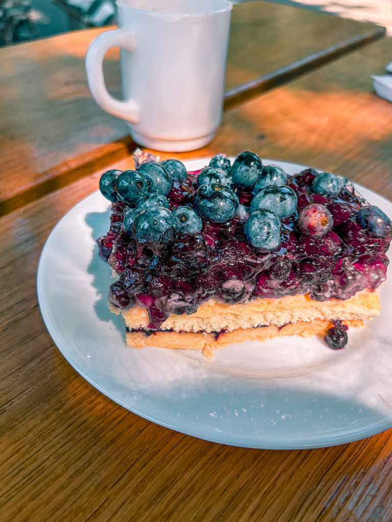 A beautiful blueberry cake at cafe am neuen see Berlin