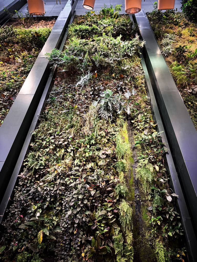 A display of plants like a green wall at dussmann in Berlin